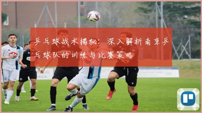 乒乓球战术揭秘：深入解析南京乒乓球队的训练与比赛策略