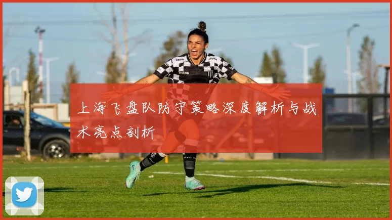 上海飞盘队防守策略深度解析与战术亮点剖析