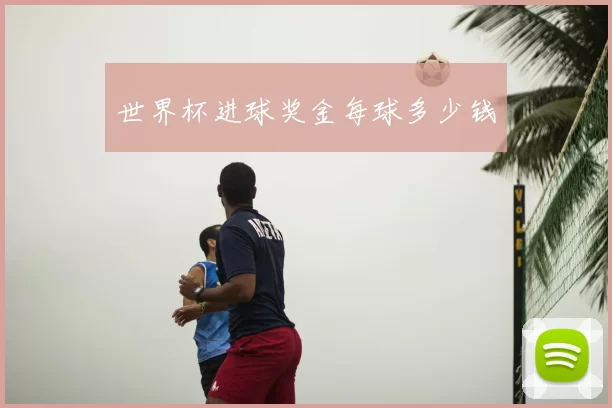 世界杯进球奖金每球多少钱