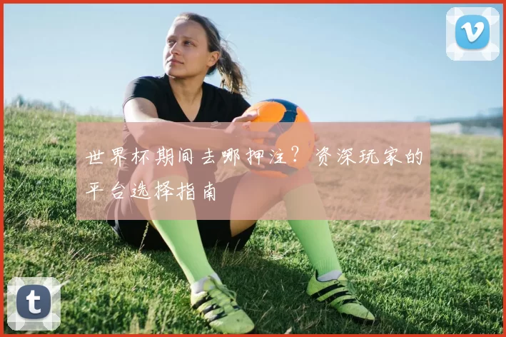 世界杯期间去哪押注？资深玩家的平台选择指南