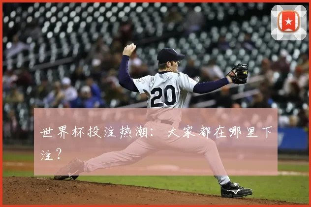 世界杯投注热潮:大家都在哪里下注?