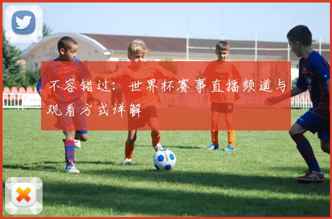 不容错过：世界杯赛事直播频道与观看方式详解