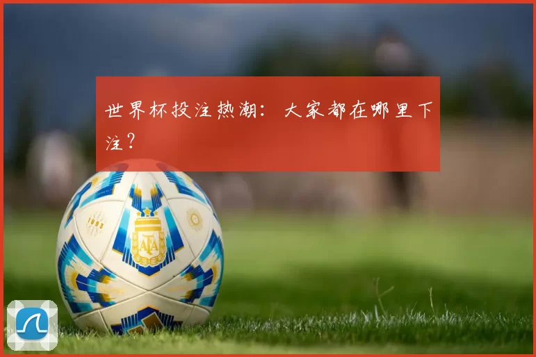 世界杯投注热潮:大家都在哪里下注?
