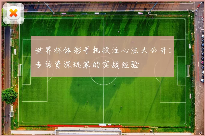 世界杯体彩手机投注心法大公开：专访资深玩家的实战经验