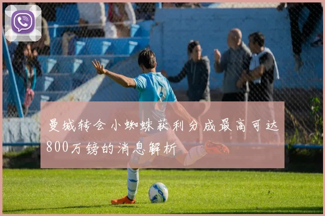 曼城转会小蜘蛛获利分成最高可达800万镑的消息解析