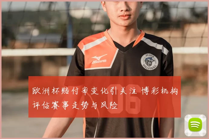 欧洲杯赔付率变化引关注 博彩机构评估赛事走势与风险