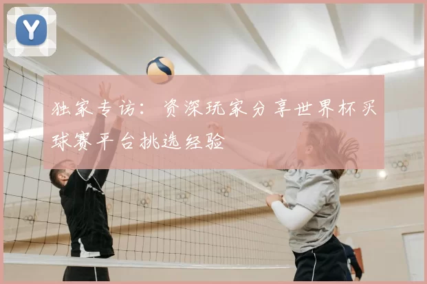 独家专访:资深玩家分享世界杯买球赛平台挑选经验