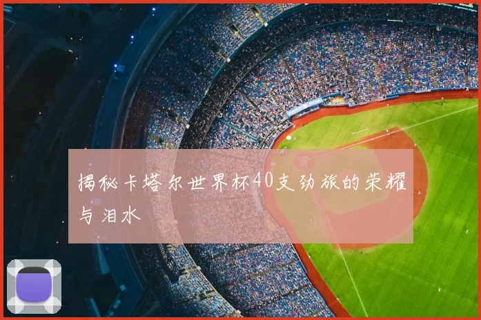 揭秘卡塔尔世界杯40支劲旅的荣耀与泪水