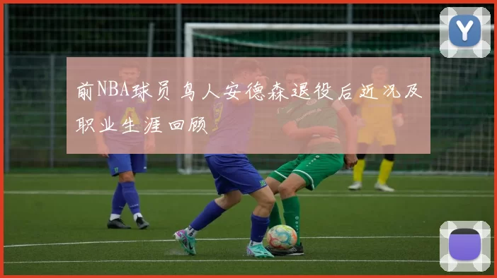 前NBA球员鸟人安德森退役后近况及职业生涯回顾