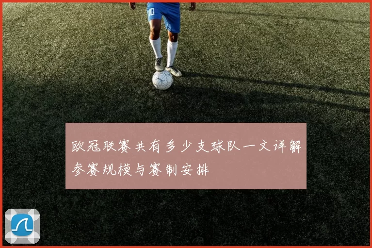 欧冠联赛共有多少支球队一文详解参赛规模与赛制安排