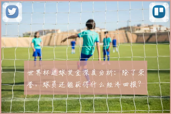世界杯进球奖金深度分析：除了荣誉，球员还能获得什么经济回报？