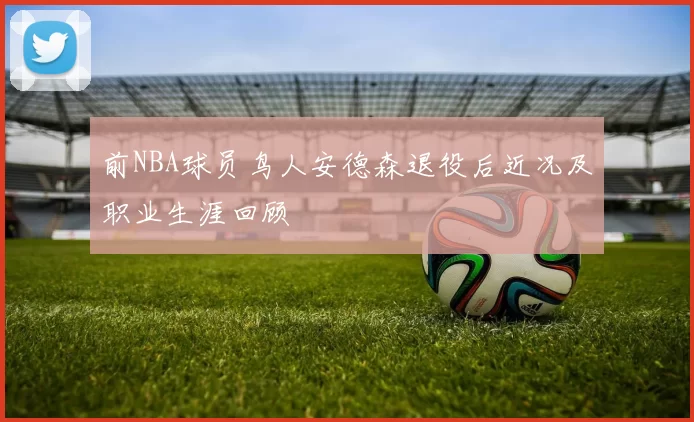 前NBA球员鸟人安德森退役后近况及职业生涯回顾