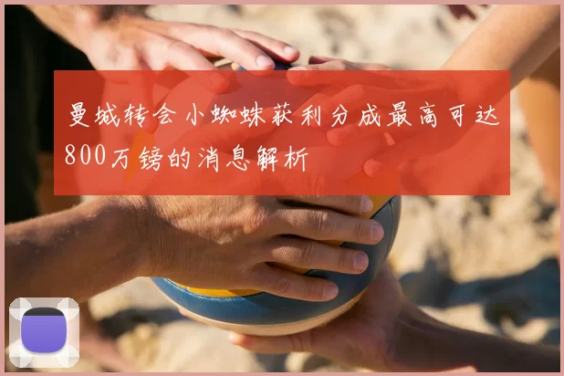 曼城转会小蜘蛛获利分成最高可达800万镑的消息解析