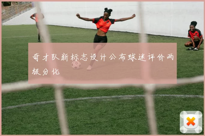 奇才队新标志设计公布球迷评价两极分化