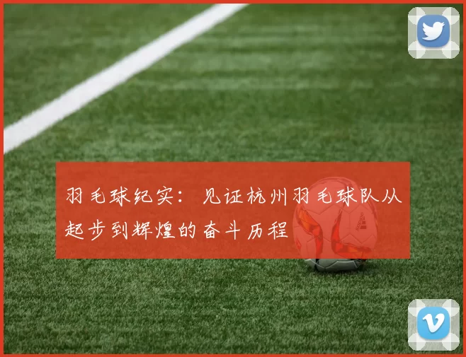 羽毛球纪实:见证杭州羽毛球队从起步到辉煌的奋斗历程