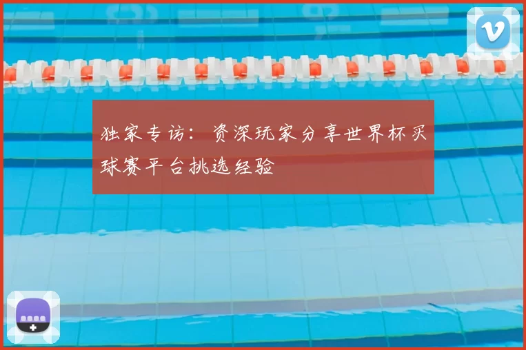 独家专访:资深玩家分享世界杯买球赛平台挑选经验