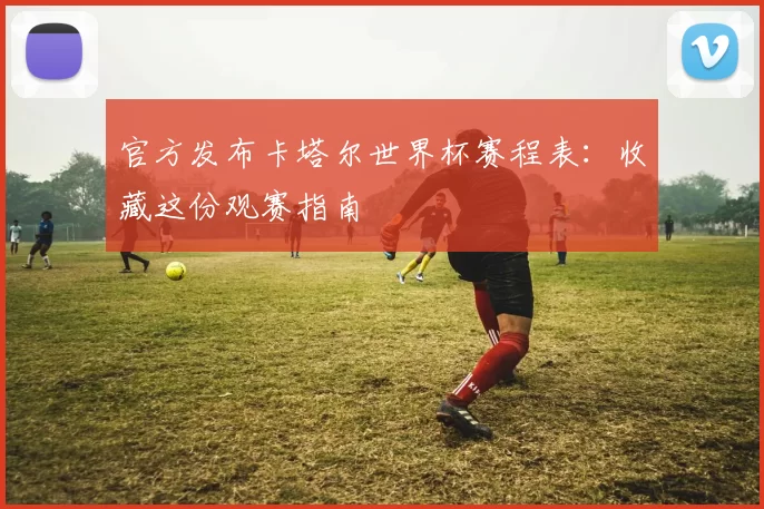 官方发布卡塔尔世界杯赛程表：收藏这份观赛指南