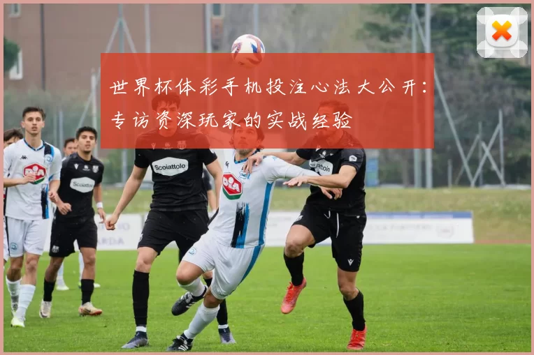 世界杯体彩手机投注心法大公开：专访资深玩家的实战经验